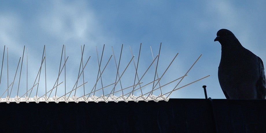 1 Meter (2 x 0,5m) Taubenspikes 4-reihig auf Polycarbonat - hochwertige Lösung für Vogelabwehr Taubenabwehr Spikes